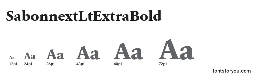 SabonnextLtExtraBold Font Sizes