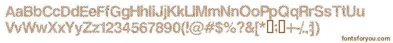 Slank Font – Brown Fonts