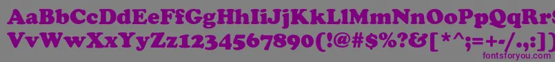 StaveHeavy Font – Purple Fonts on Gray Background