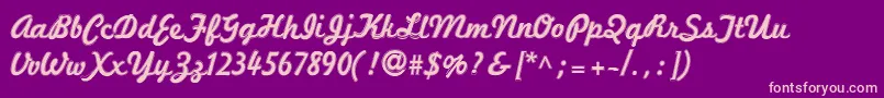 Marketingscript ffy Font – Pink Fonts on Purple Background