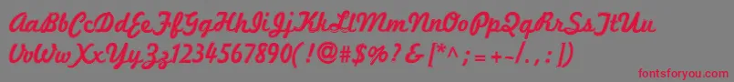 Marketingscript ffy Font – Red Fonts on Gray Background