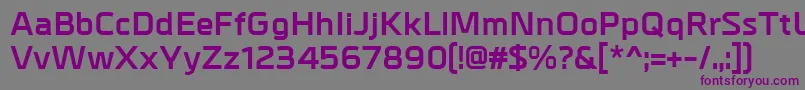 フォントMetrikBold – 紫色のフォント、灰色の背景
