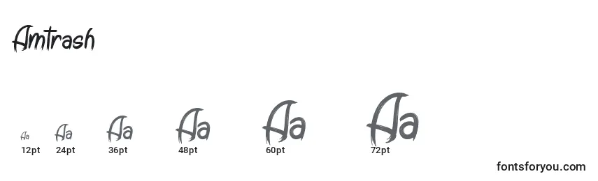 Amtrash Font Sizes