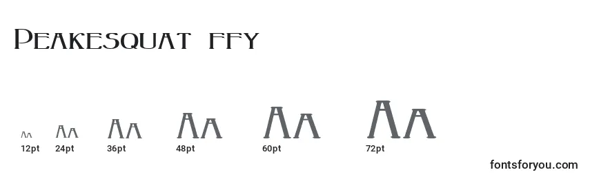 Peakesquat ffy font sizes