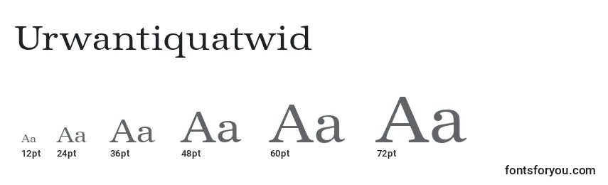 Größen der Schriftart Urwantiquatwid