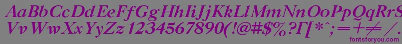 フォントGazetatitulcBolditalic – 紫色のフォント、灰色の背景