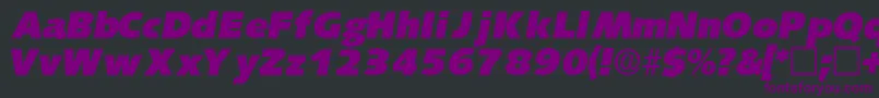 LansettedisplaysskItalic Font – Purple Fonts on Black Background