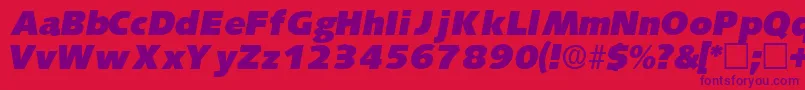 Шрифт LansettedisplaysskItalic – фиолетовые шрифты на красном фоне