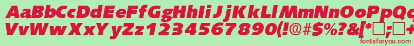 Шрифт LansettedisplaysskItalic – красные шрифты на зелёном фоне