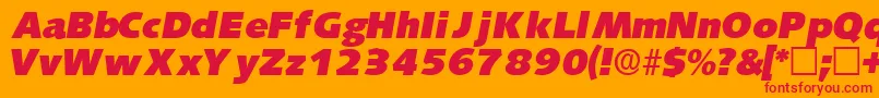 LansettedisplaysskItalic Font – Red Fonts on Orange Background