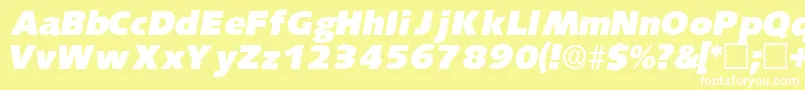 LansettedisplaysskItalic Font – White Fonts on Yellow Background