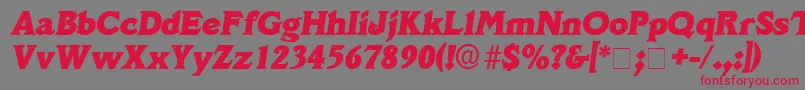 フォントDecusSsiItalic – 赤い文字の灰色の背景