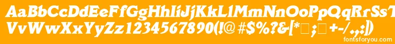 DecusSsiItalic Font – White Fonts on Orange Background