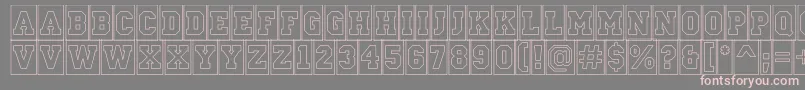 ACampuscmotlBold Font – Pink Fonts on Gray Background