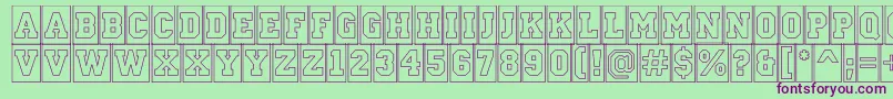 ACampuscmotlBold Font – Purple Fonts on Green Background
