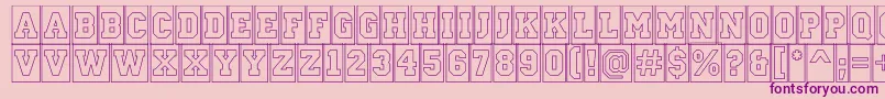 ACampuscmotlBold Font – Purple Fonts on Pink Background