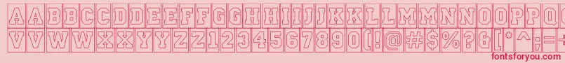 ACampuscmotlBold Font – Red Fonts on Pink Background
