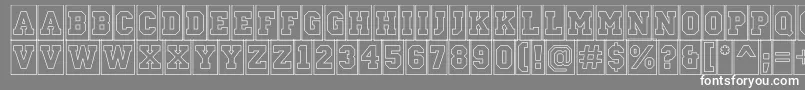 ACampuscmotlBold Font – White Fonts on Gray Background