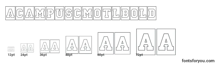 ACampuscmotlBold Font Sizes