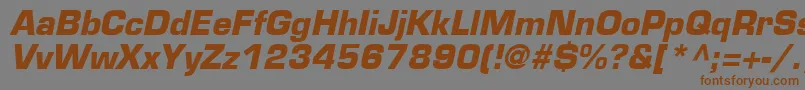 EurostileLtBoldOblique Font – Brown Fonts on Gray Background