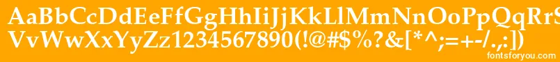 フォントPalladiumcBold – オレンジの背景に白い文字