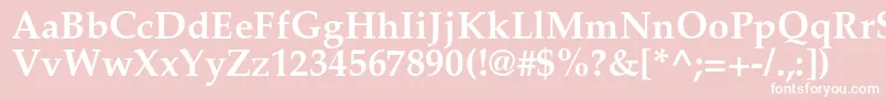 PalladiumcBold Font – White Fonts on Pink Background