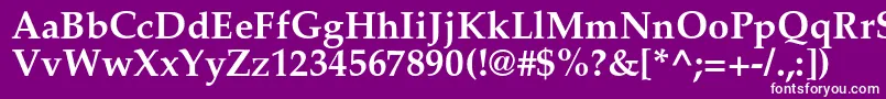 フォントPalladiumcBold – 紫の背景に白い文字