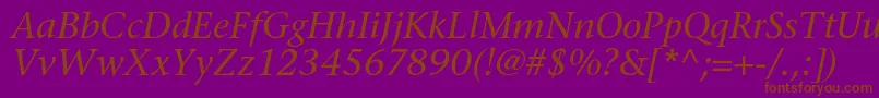 SonetserifcItalic Font – Brown Fonts on Purple Background