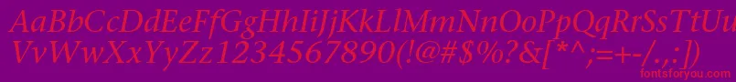 SonetserifcItalic Font – Red Fonts on Purple Background