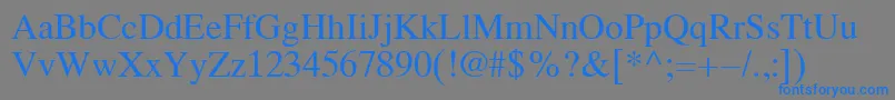 Koi8Times Font – Blue Fonts on Gray Background