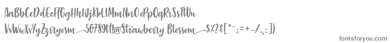 StrawberryBlossom Font – Gray Fonts