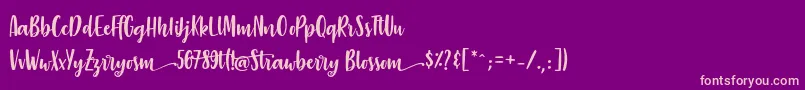 StrawberryBlossom Font – Pink Fonts on Purple Background