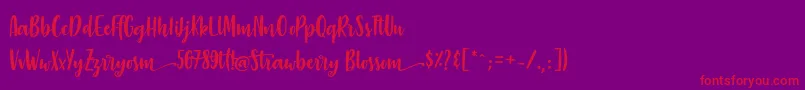 StrawberryBlossom Font – Red Fonts on Purple Background