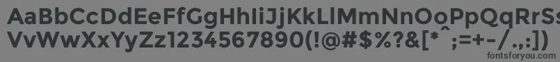 フォントMontserratBold – 黒い文字の灰色の背景