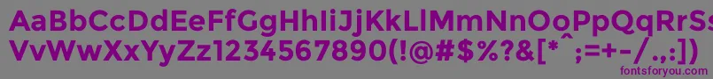 MontserratBold Font – Purple Fonts on Gray Background