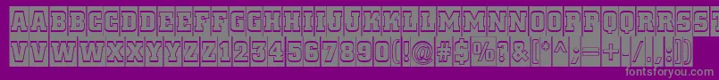 ACitynovattlcmgr Font – Gray Fonts on Purple Background