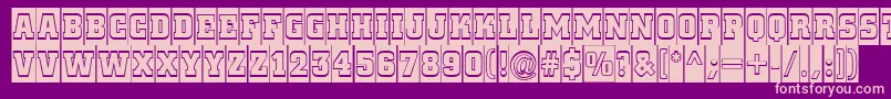 ACitynovattlcmgr Font – Pink Fonts on Purple Background