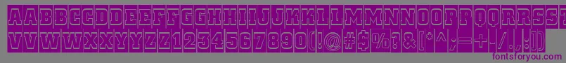 ACitynovattlcmgr Font – Purple Fonts on Gray Background