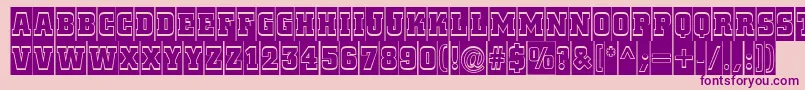 ACitynovattlcmgr Font – Purple Fonts on Pink Background