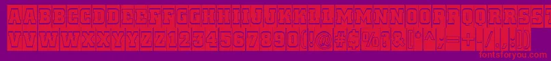 ACitynovattlcmgr Font – Red Fonts on Purple Background