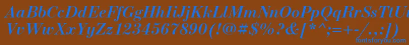NewstandardcBolditalic Font – Blue Fonts on Brown Background