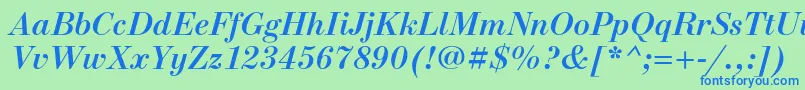 NewstandardcBolditalic Font – Blue Fonts on Green Background