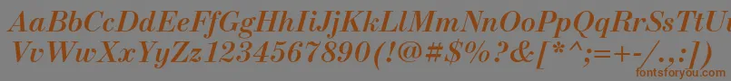 フォントNewstandardcBolditalic – 茶色の文字が灰色の背景にあります。