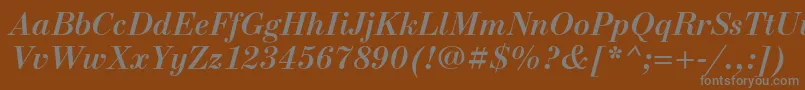 NewstandardcBolditalic Font – Gray Fonts on Brown Background