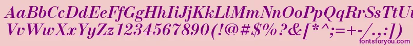 NewstandardcBolditalic Font – Purple Fonts on Pink Background