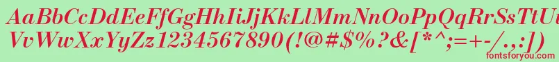 NewstandardcBolditalic Font – Red Fonts on Green Background