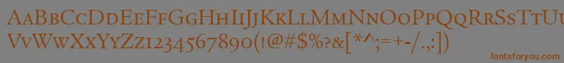 Шрифт LegacySerifScItcTtBook – коричневые шрифты на сером фоне