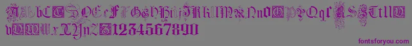 KidnappedAtGermanLandsFour Font – Purple Fonts on Gray Background