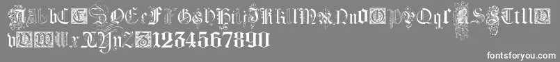 KidnappedAtGermanLandsFour Font – White Fonts on Gray Background