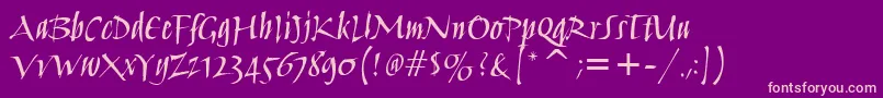 HumanaScriptMdItcTtMedium Font – Pink Fonts on Purple Background